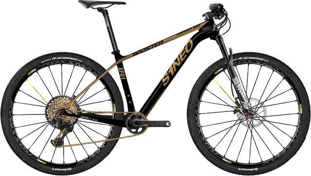 The New XF01 MTB Bikes from S1neo Cycles