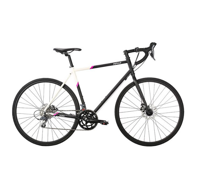 Introducing the New Quest Bike from Populo