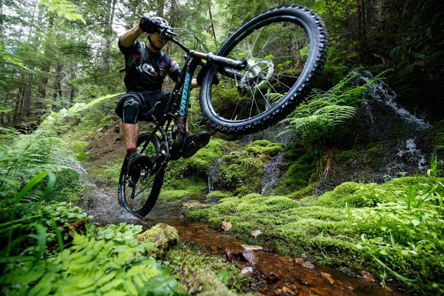 WTB introduces New aggressive Mountain Tires, Tritec Compound and updated TCS 2.0 Technology