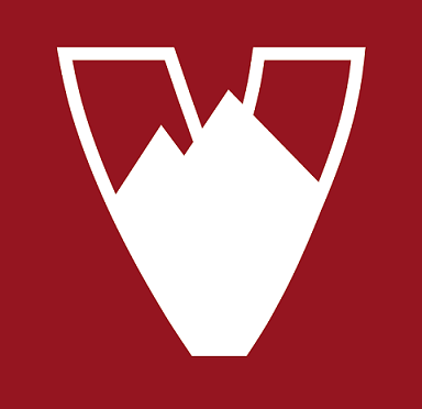 Job Offer by Velosolutions - Global Marketing and Communications Manager