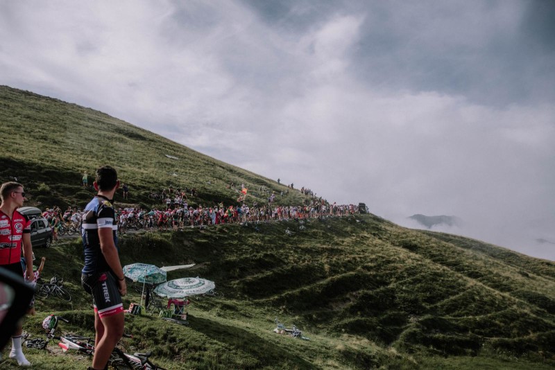 Tour de France 2019. Team's Lineup