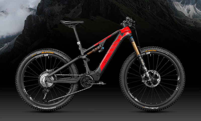 The New Rotwild R.X750 eMTB