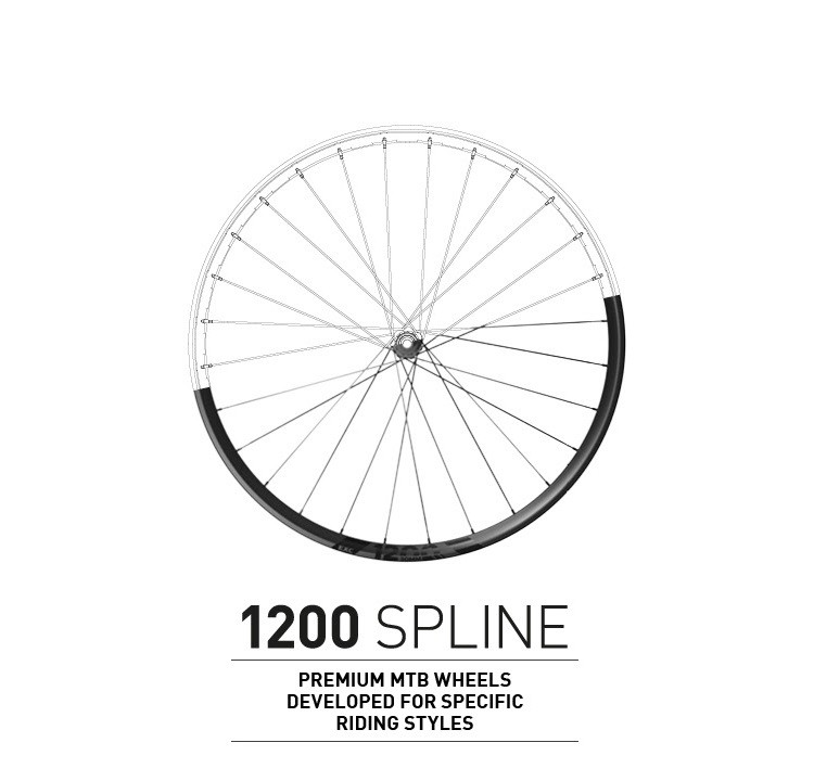 Introducing the New DT Swiss 1200 SPLINE MTB Wheels