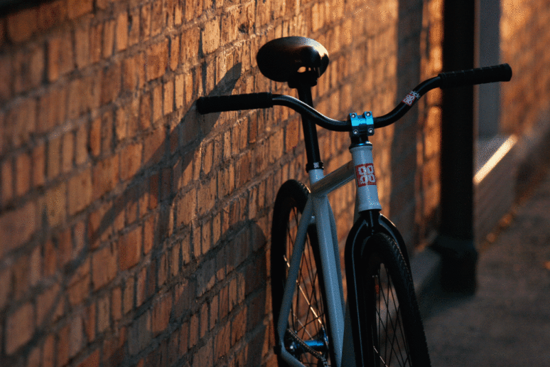 Job Offer by Leafcycles - Passionate Artists, Marketers and Makers