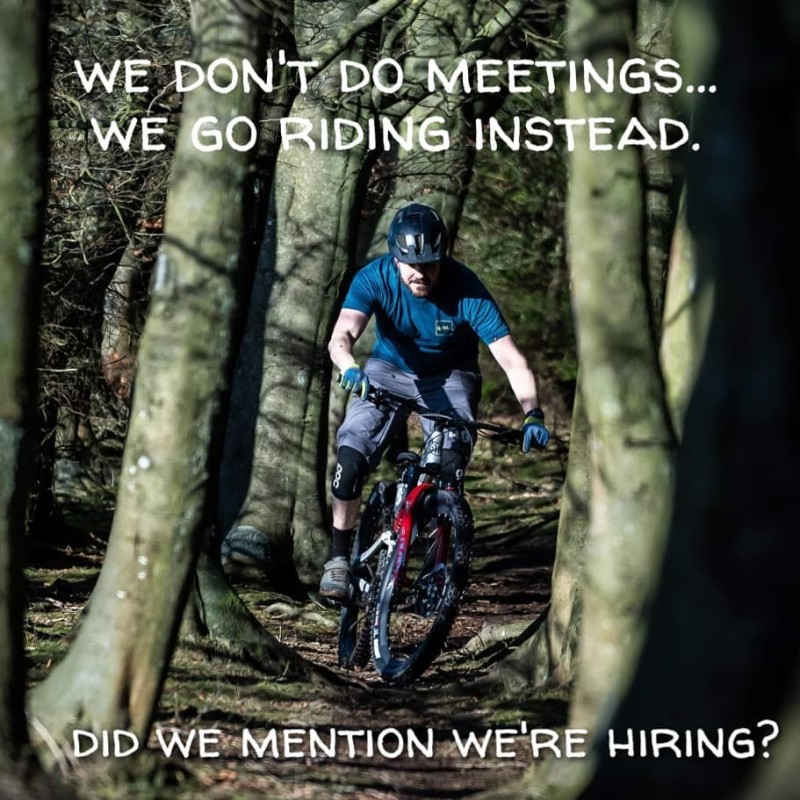 Job Offer by Bird Cycleworks - Marketing Lead