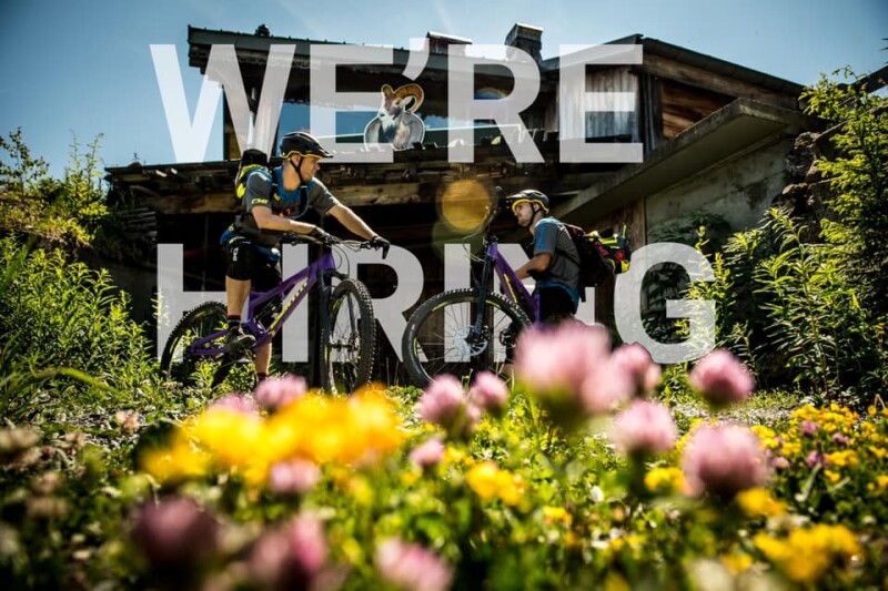 Job Offer by Ison-Distribution - Internal Sales/Customer Service Advisor