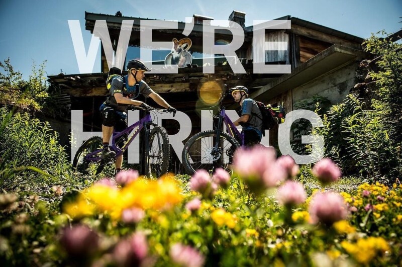 Job Offer by Ison-Distribution - Sales Manager