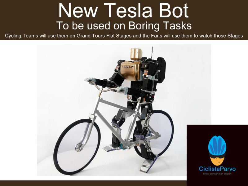 New Tesla Bot