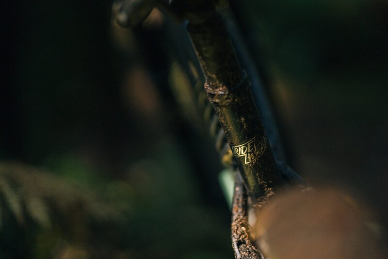 Article by RideWrap: 5 Reasons to Wrap Your Bike in 2022