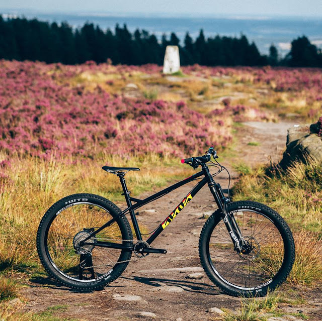 New BFe Hardtail MTB Bike from Cotic