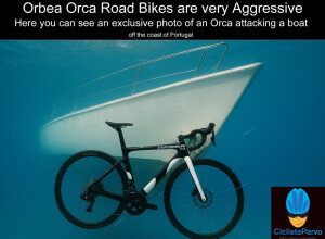 Orbea Orca Road Bikes are very Aggressive Here you can see an exclusive photo of an Orca attacking a boat  off the coast of Portugal