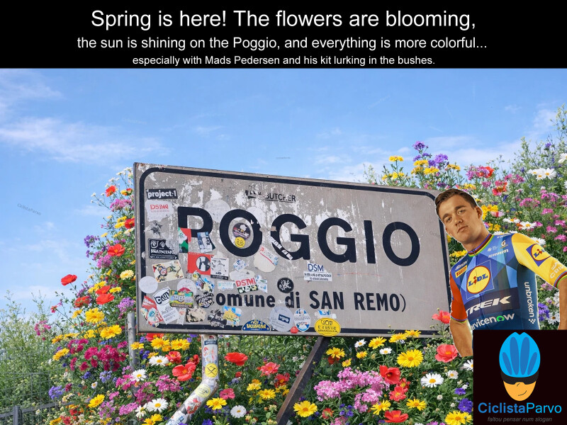 Spring is here! The flowers are blooming, the sun is shining on the Poggio