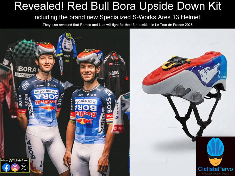 Revealed! Red Bull Bora Upside Down Kit